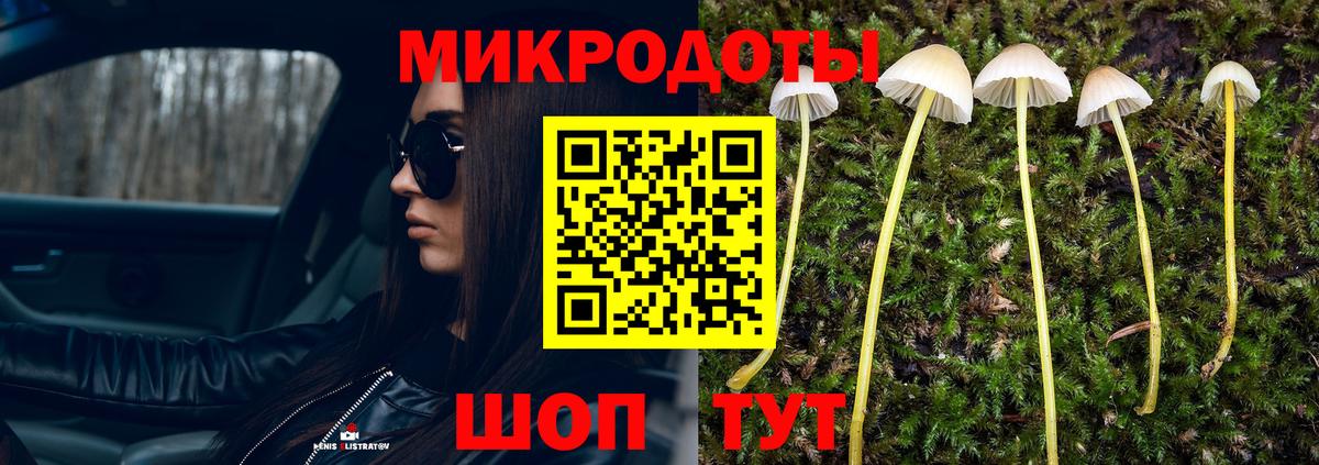 Псилоцибиновые грибы мицелий Ярцево